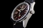 BR 123 FALCON Limited Brown Dial on Black Rubber Strap MIYOTA 9015 - Image 6