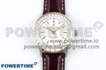 Navitimer 1 RG/SS 41mm TF 1:1 Best Edition White Bezel White Dial on Brown Leather Strap A2824